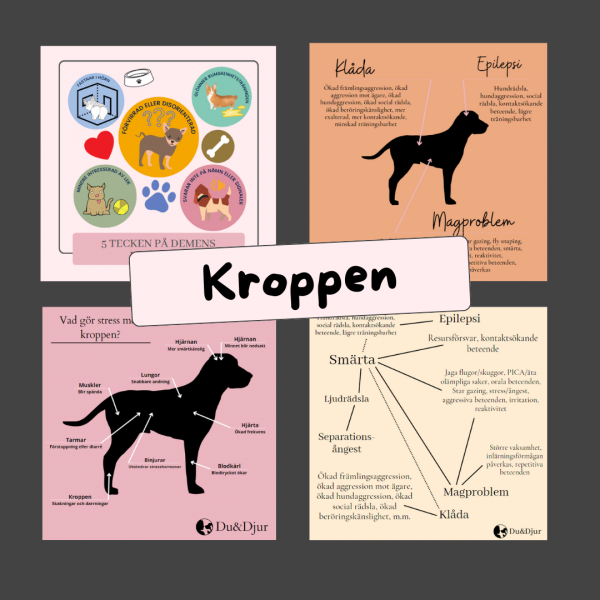 Illustrationer Inlärning, beteende och kroppen - Bild 3
