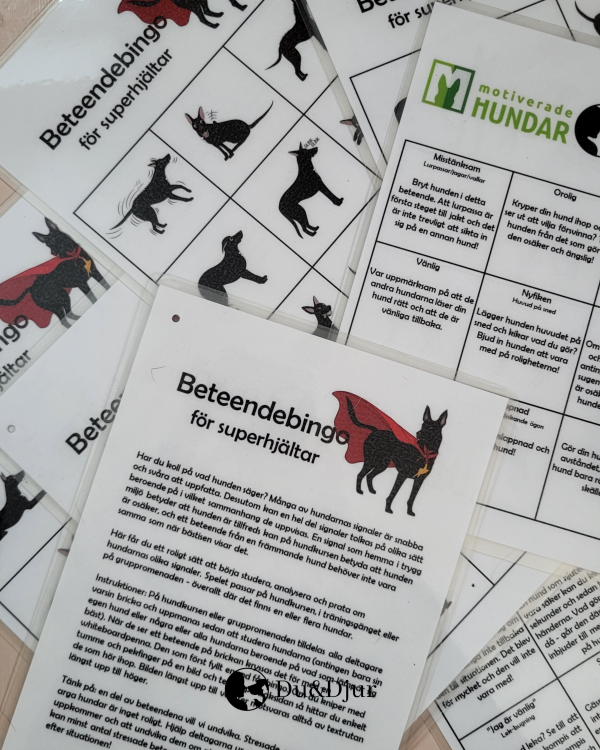 Beteendebingo för superhjältar - Bild 2