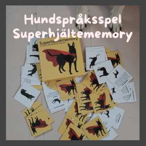 Superhjältememory