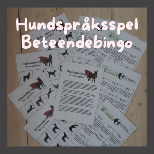 Beteendebingo för superhjältar