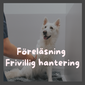 Föreläsning Frivillig hantering