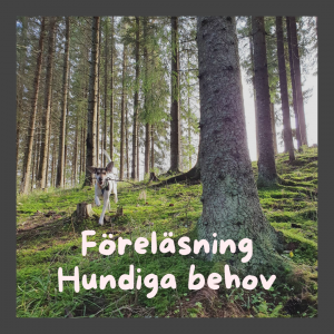 Föreläsning Hundiga behov