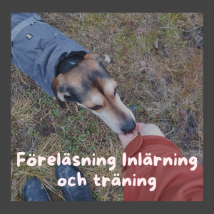 Föreläsning Inlärning och träning